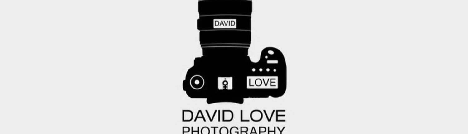 بیوگرافی دیوید لاو - David Love