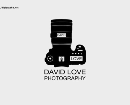 بیوگرافی دیوید لاو - David Love