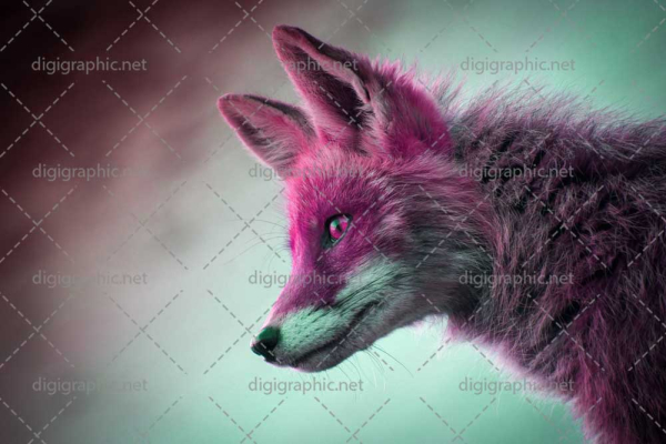 عکس کیفیت بالا از روباه فانتزی