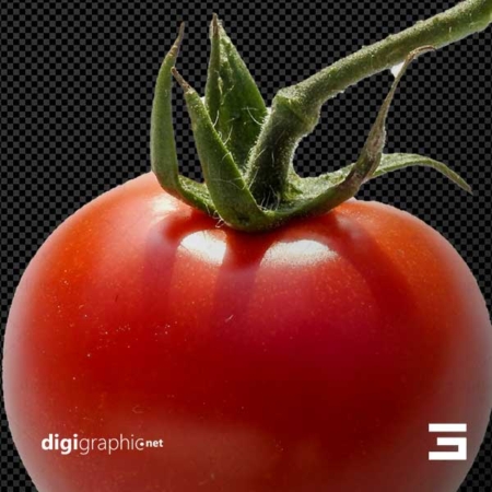 عکس بی پس زمینه گوجه گیلاسی