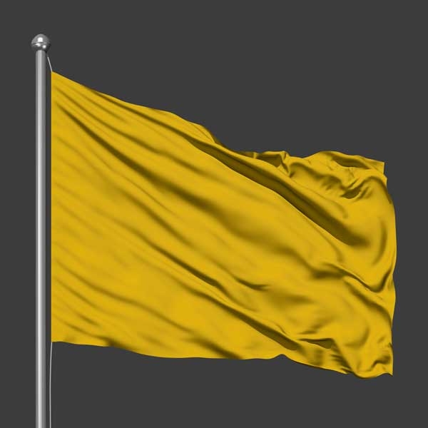 موکاپ پرچم در باد